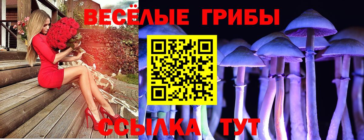 закладки  Вход с VPN  Спасск-Дальний  Галлюциногенные грибы Magic Shrooms 